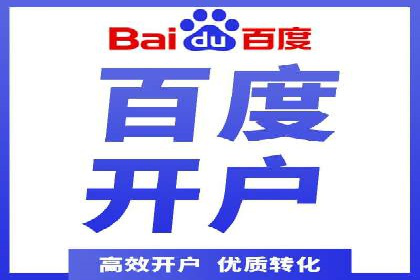 竞价端口开户后的广告投放策略案例
